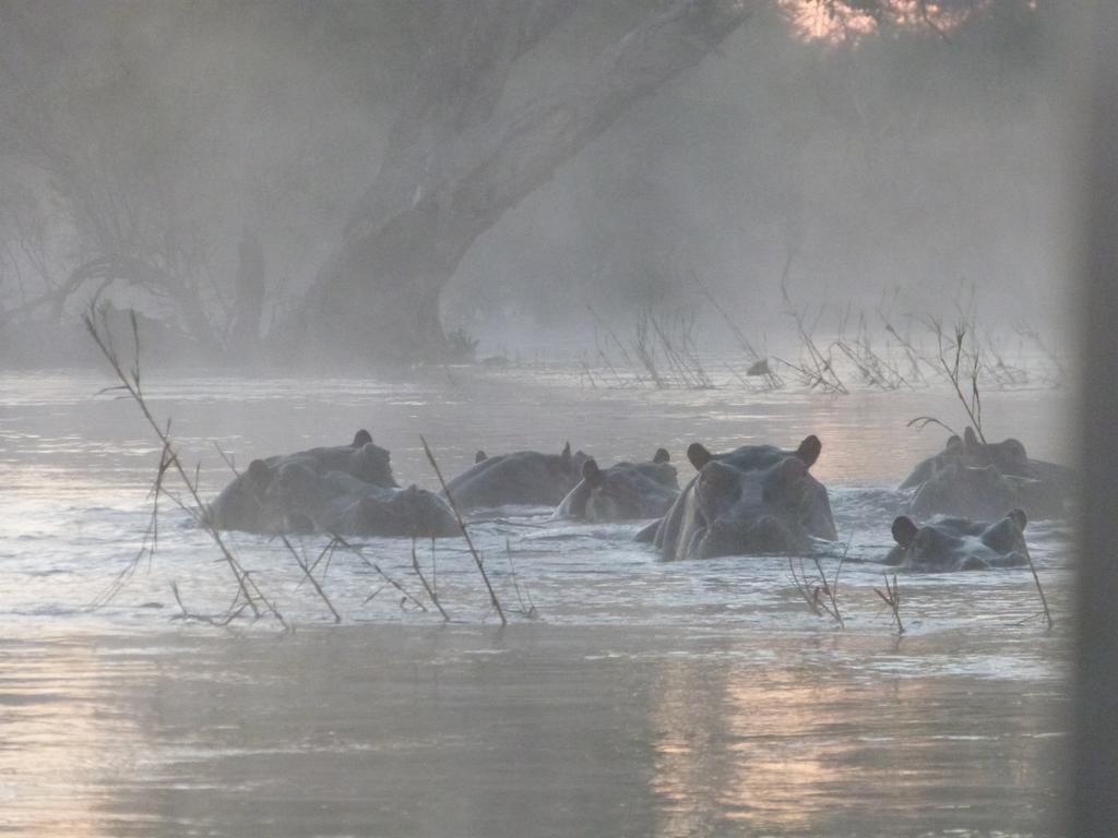 Kayube Zambezi River House Livingstone Buitenkant foto